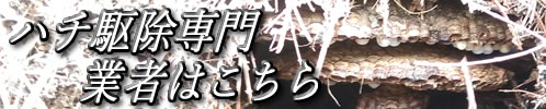 ハチ駆除専門業者はこちら
