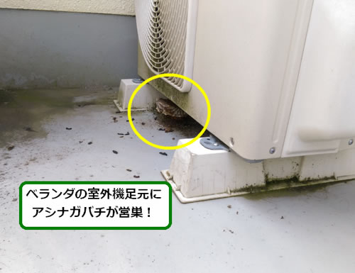 アシナガバチ駆除室外機