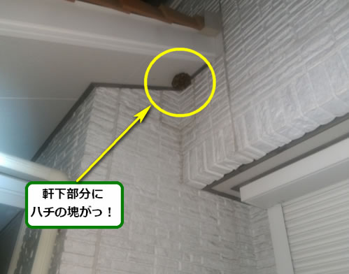 アシナガバチ駆除庭先軒下