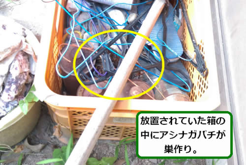 アシナガバチ駆除空き箱