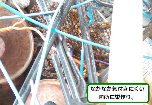 アシナガバチの巣駆除空き箱