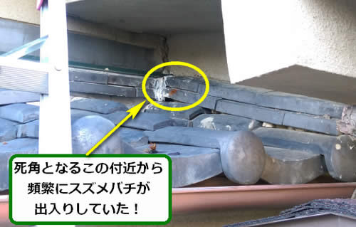 スズメバチ侵入口屋根瓦