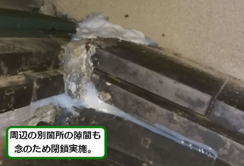 スズメバチ侵入口閉鎖