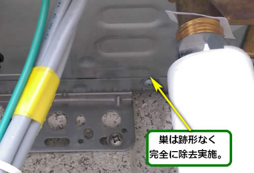 アシナガバチの巣完全除去