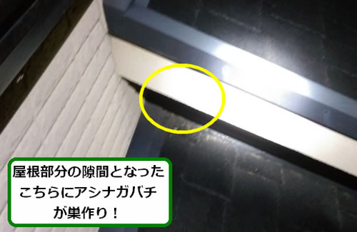 アシナガバチ駆除一階屋根隙間