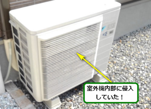 アシナガバチ駆除室外機内部