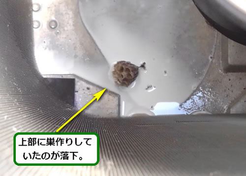 アシナガバチの巣駆除室外機内部