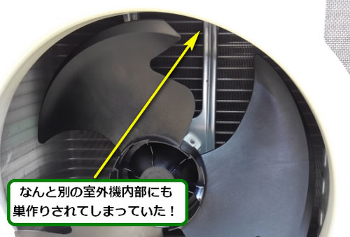アシナガバチの巣駆除室外機内部