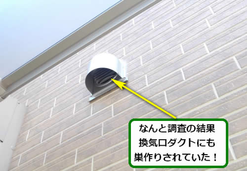 アシナガバチ駆除外壁換気口