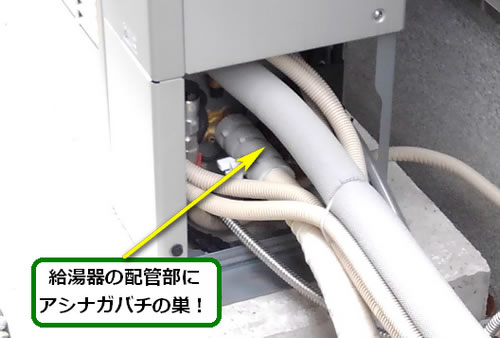 アシナガバチ駆除給湯器