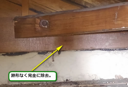 スズメバチの巣完全撤去