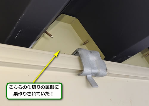 アシナガバチ駆除屋根