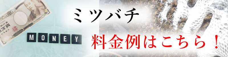 ミツバチ料金例はこちら