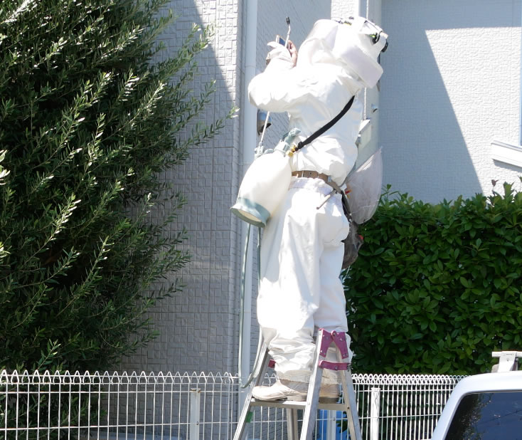 巣までの高さ例