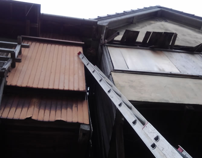 巣までの高さ例