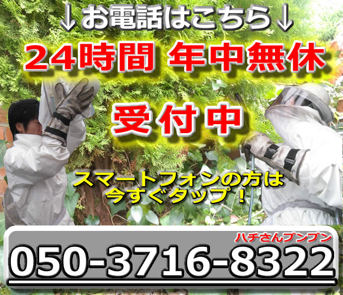 お電話はこちら!