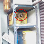 すぐ手の届く範囲