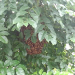 すぐ手の届く範囲